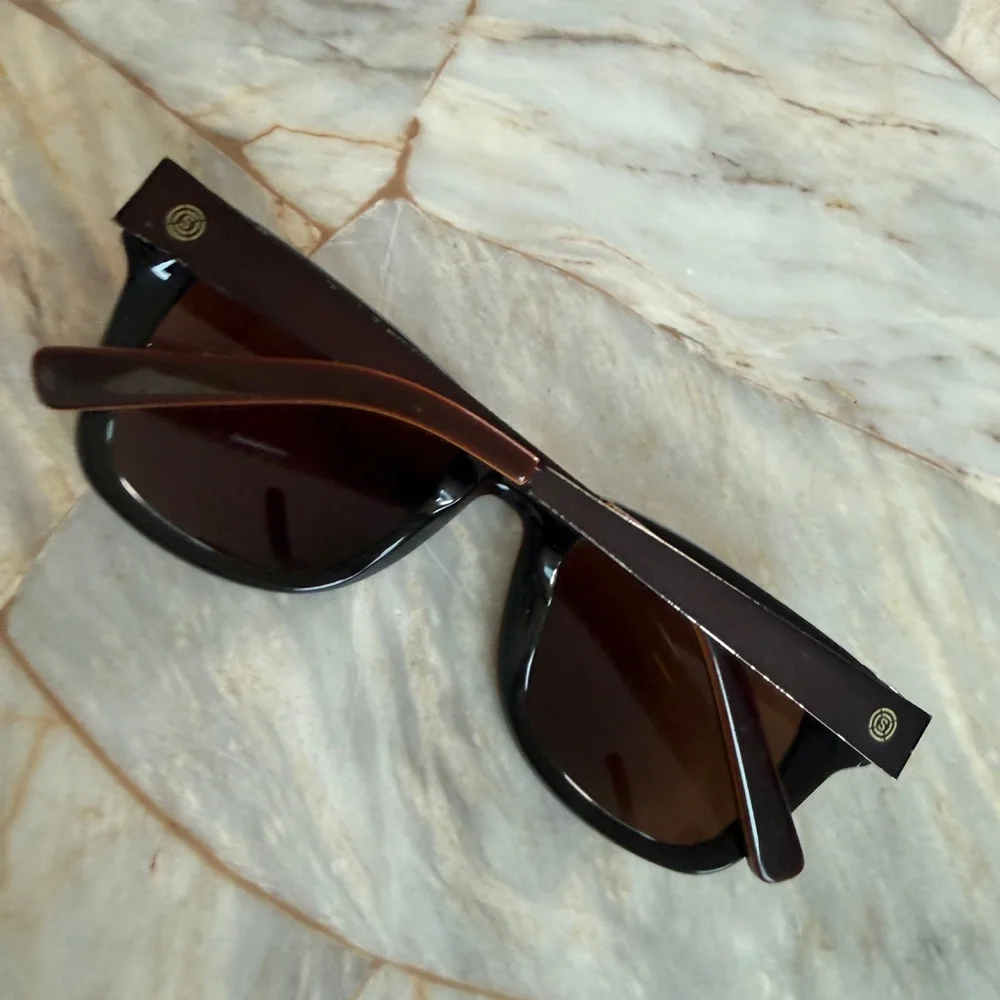 Classic Men's Wayfarer Sunglasses in Dark Brown